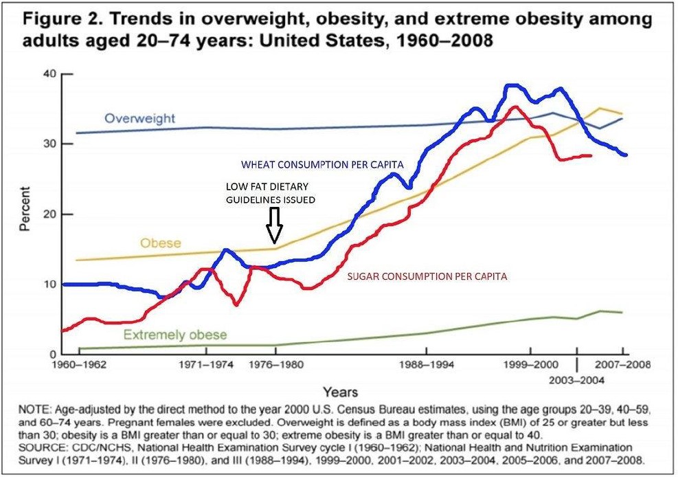 Overweight Trends Graph