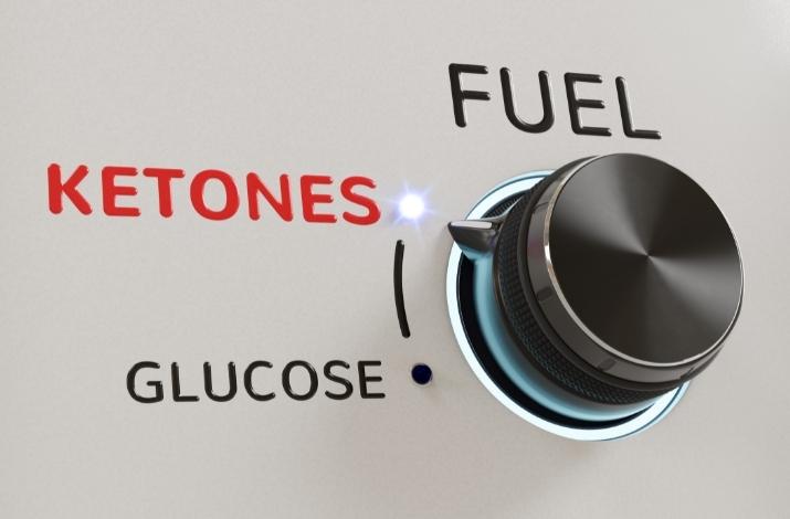 What are ketones and why do they matter?