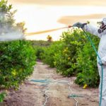 Pesticides and Metabolic Health