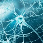 Understanding, Preventing, and Managing Nerve Damage