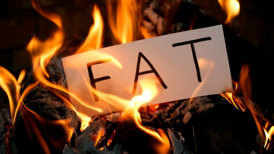 tbmrv1 - burn fat